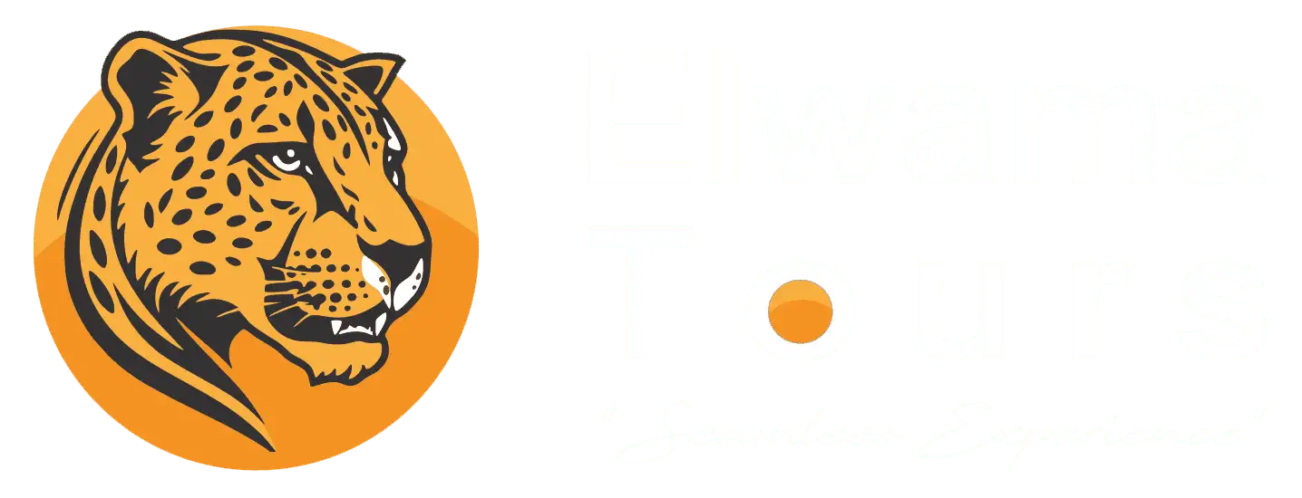 tidy solutions cleaning and maintenance logo